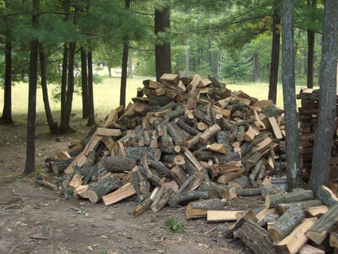 woodpile