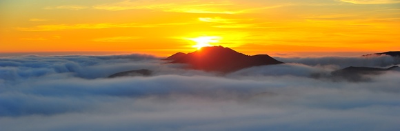 A Tender Heart and True Joy