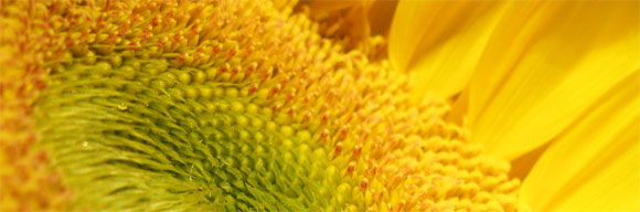 What Causes Quarrels