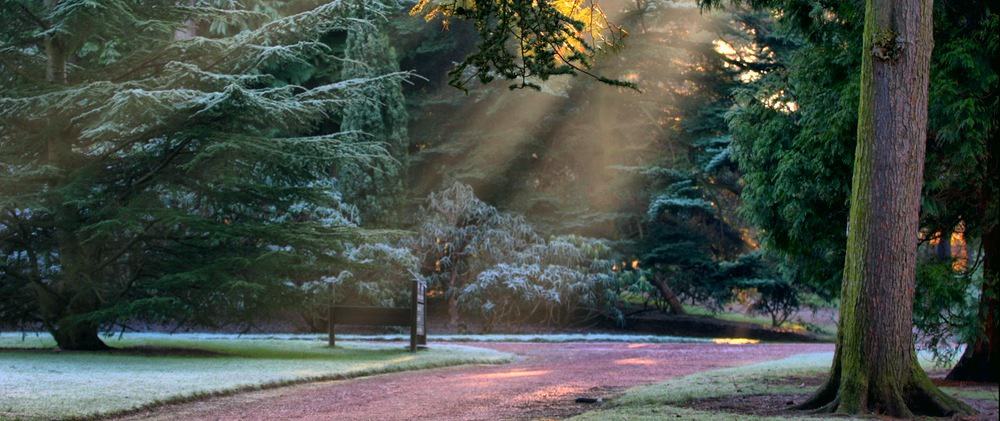 Always Speaking the Truth