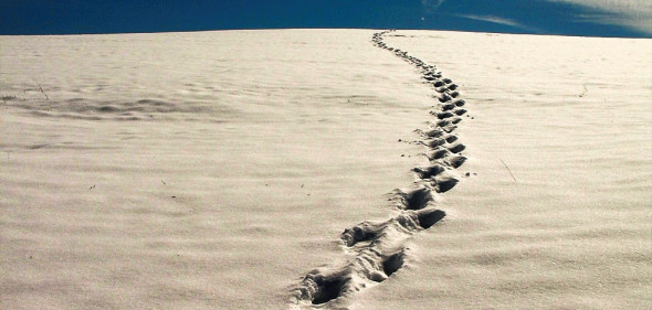 Bring Back The Wandering