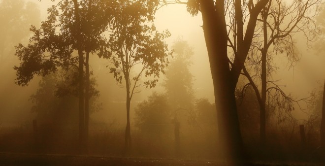 The Poison of Partiality