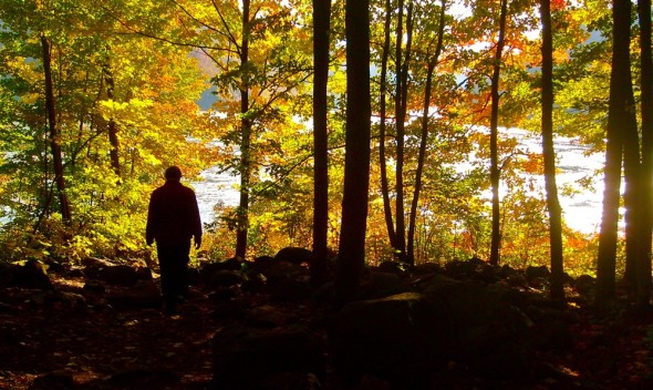 Unhindered Prayer and Worry for Peace