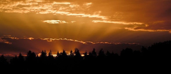 Consider Jesus part 1