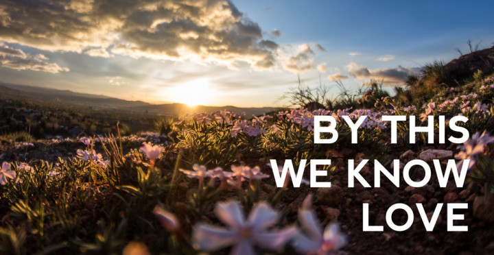 By This We Know Love