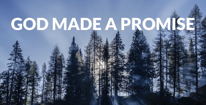 God Made A Promise