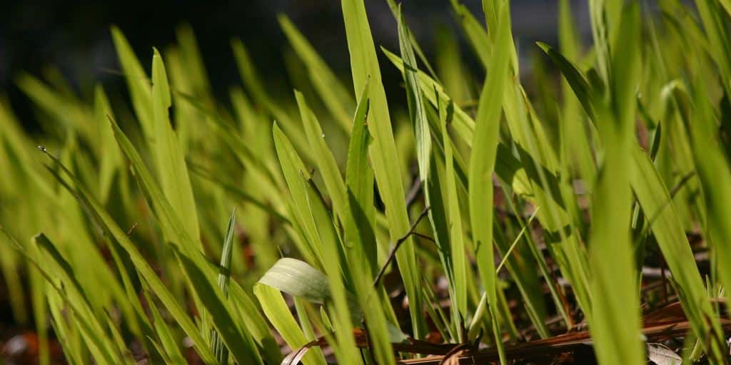 Always Pray and Not Lose Heart