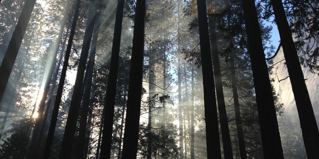 Servants of Christ Jesus