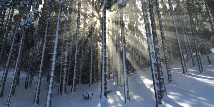 Suffering: The Gift You Did Not Want