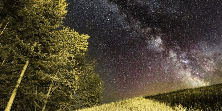 Growing Unity Through Humility