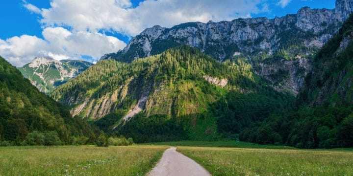 Faithful Messenger and Minister