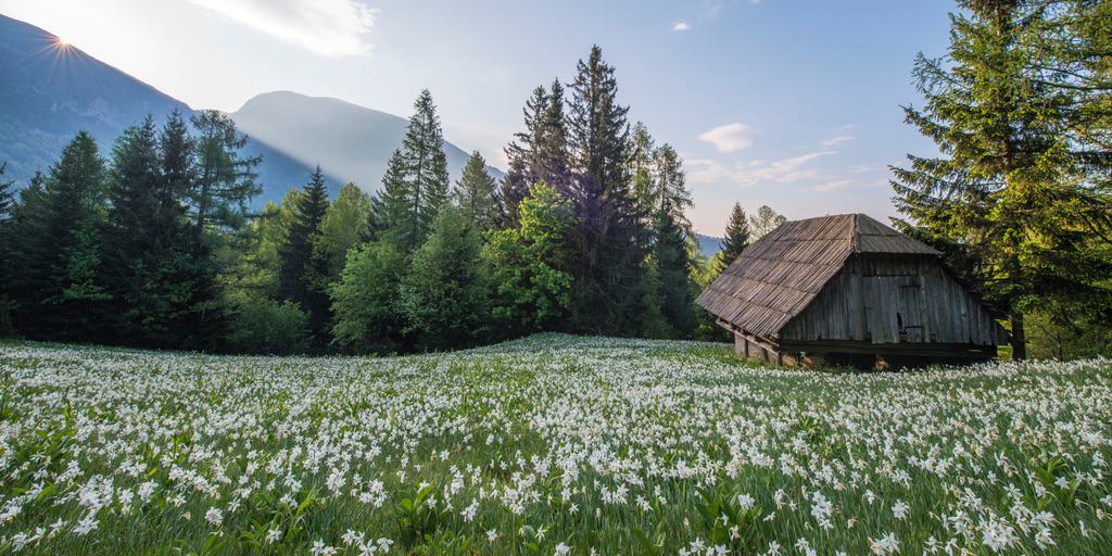 Contentment: Confidence in God