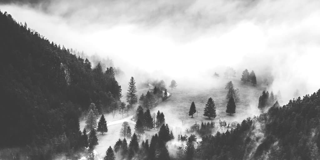 The Replacement For Worry