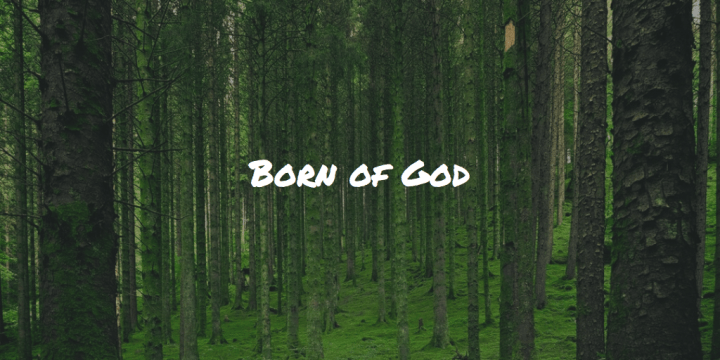 Born of God