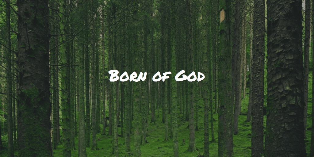 Born of God