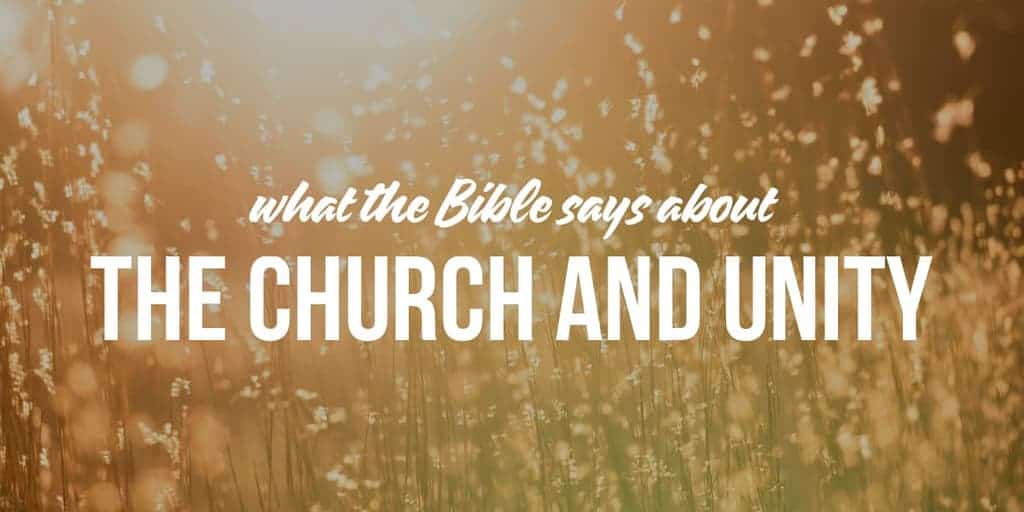 The Church and Unity